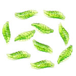 Long Transparent Green Leaf Charms
